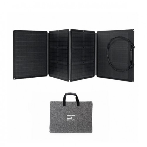 Солнечная панель EcoFlow 110В Solar Panel